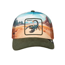 Load image into Gallery viewer, GOORIN SCORPION IN THE ELEMENT HAT