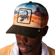 Load image into Gallery viewer, GOORIN SCORPION IN THE ELEMENT HAT