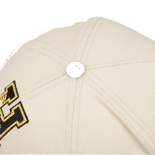 Load image into Gallery viewer, ALL HUMAN MYERS SNAPBACK HAT