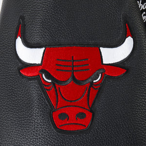 PRO STANDARD  NBA CHICAGO BULLS RIB WOOL VARSITY JACKET