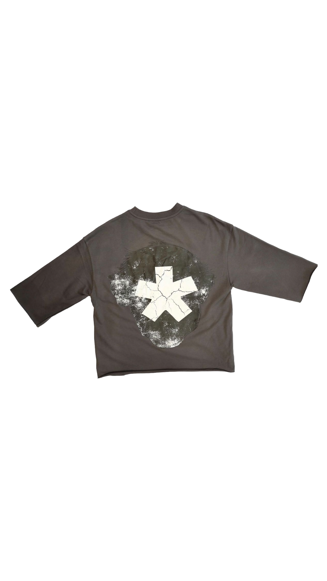 SYNDICATE GRUNGE CROPPED CREWNECK T.SHIRT