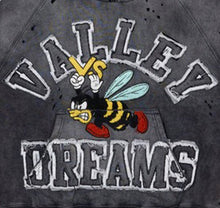 Load image into Gallery viewer, VALE FOREVER ANTHEM PULLOVER HOODIE